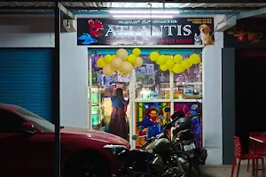 ATLANTIS PET SOLUTIONS image