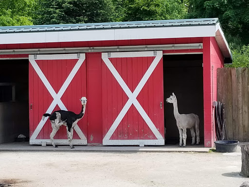 Zoo «Potawatomi Zoo», reviews and photos, 500 S Greenlawn Ave, South Bend, IN 46615, USA