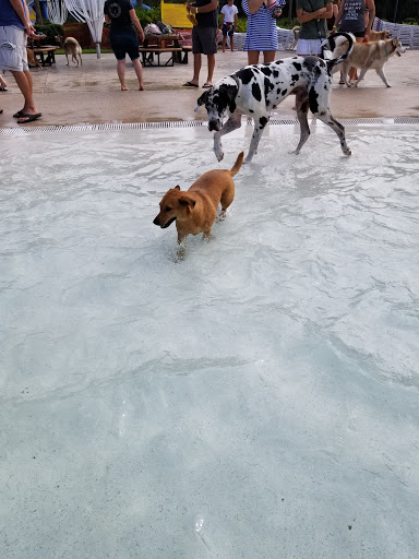 Park «Seminole Palms Park», reviews and photos, 151 Lamstein Ln, Royal Palm Beach, FL 33411, USA