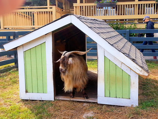 Stable «Lawton Stables», reviews and photos, 190 Greenwood Dr, Hilton Head Island, SC 29928, USA