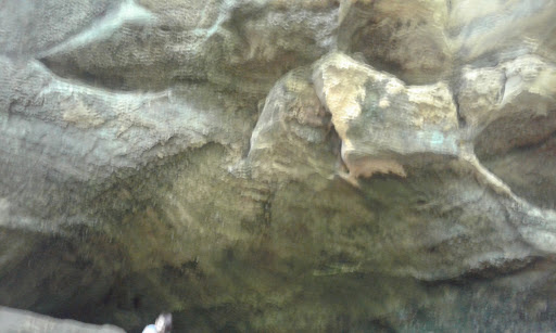 Performing Arts Theater «Pine Knob Theatre», reviews and photos, 2250 Pine Knob Rd, Caneyville, KY 42721, USA