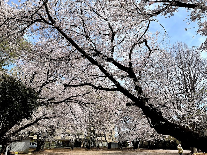 神社公園