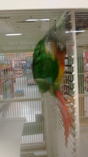 Pet Supply Store «Petco Animal Supplies», reviews and photos, 253 Burgess Rd, Harrisonburg, VA 22801, USA