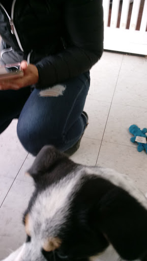 Pet Store «Pets Plus - Quakertown», reviews and photos, 117 S West End Blvd, Quakertown, PA 18951, USA