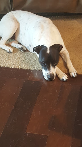 Recreation Center «Longview Recreation Center», reviews and photos, 2909 Commonwealth Dr, Spring Hill, TN 37174, USA