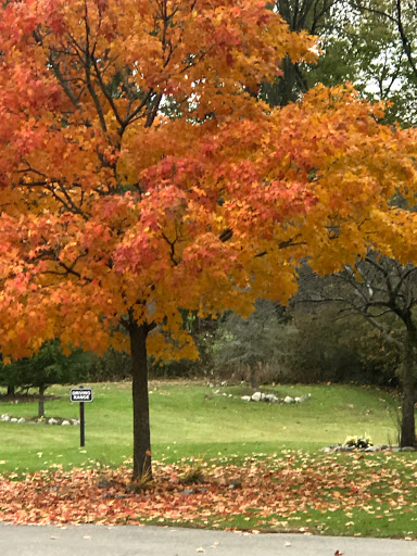 Public Golf Course «Willow Metropark Golf Course», reviews and photos, 22900 Huron River Dr, New Boston, MI 48164, USA