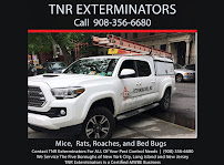 TNR Exterminators - Photo 6 - Car repair in Millington, NJ, New York