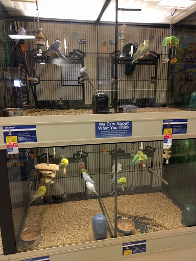 Pet Supply Store «PetSmart», reviews and photos, 3520 S El Camino Real, San Mateo, CA 94403, USA