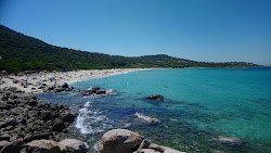 Photo de Plage de Ghjunchitu avec plusieurs baies spacieuses