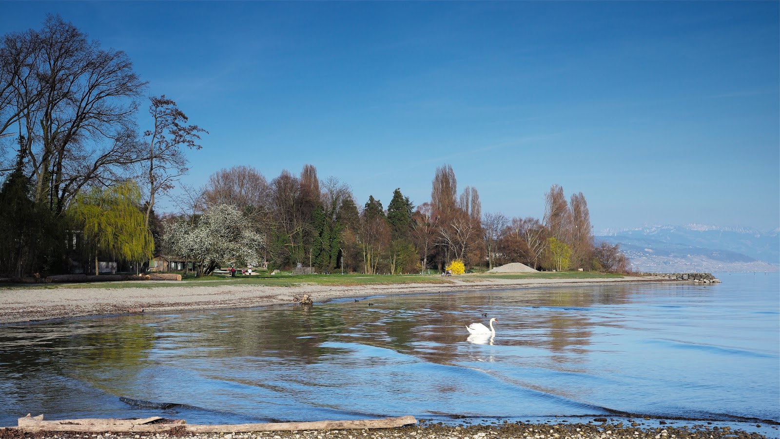 Photo de Plage de St.-Sulpice situé dans une zone naturelle