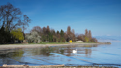 Photo de Plage de St.-Sulpice situé dans une zone naturelle