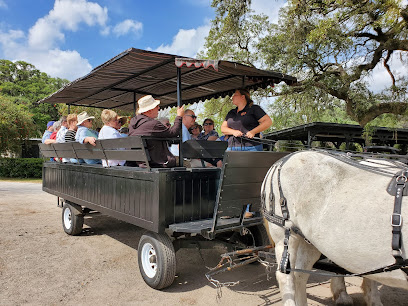 Horse Country Carriage Tours