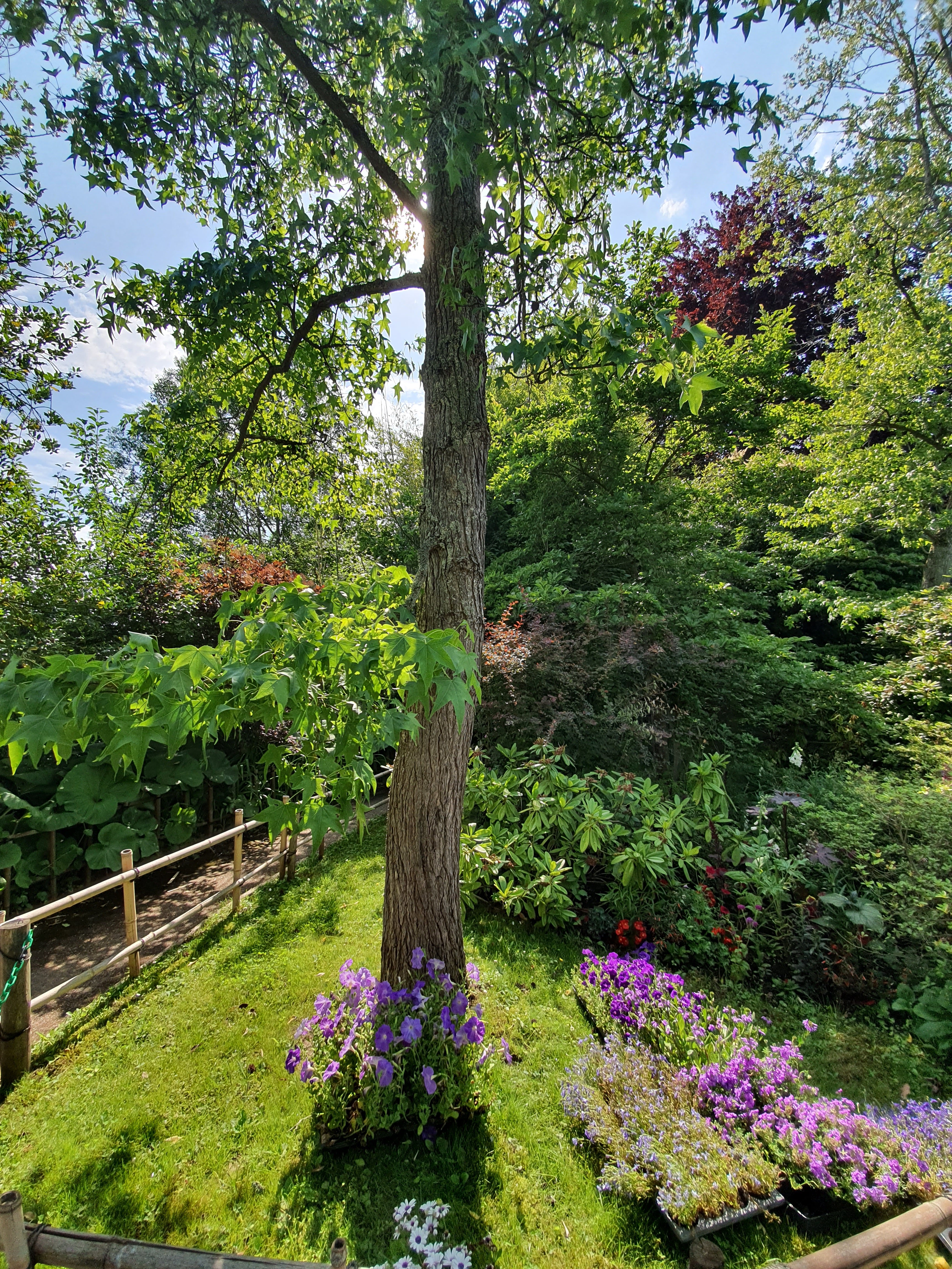 Photo n° 3 de l'avis de Chimene.a fait le 18/06/2021 à 22:36