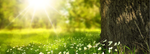 Cocheria Varela del Grupo Asistencia Sur en Florencio Varela