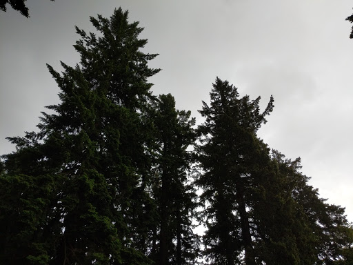 Park «Kenilworth Park», reviews and photos, SE Holgate Blvd & Southeast 34th Avenue, Portland, OR 97202, USA