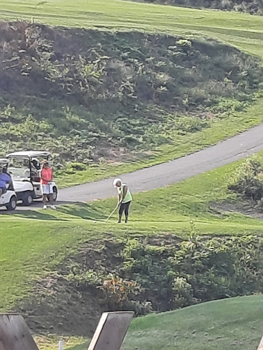 Golf Course «Willow Hollow Golf Course», reviews and photos, 619 Prison Rd, Leesport, PA 19533, USA