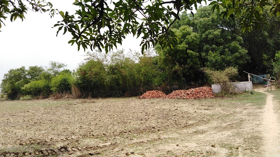 सिद्ध बाबा आश्रम अमलेंडा