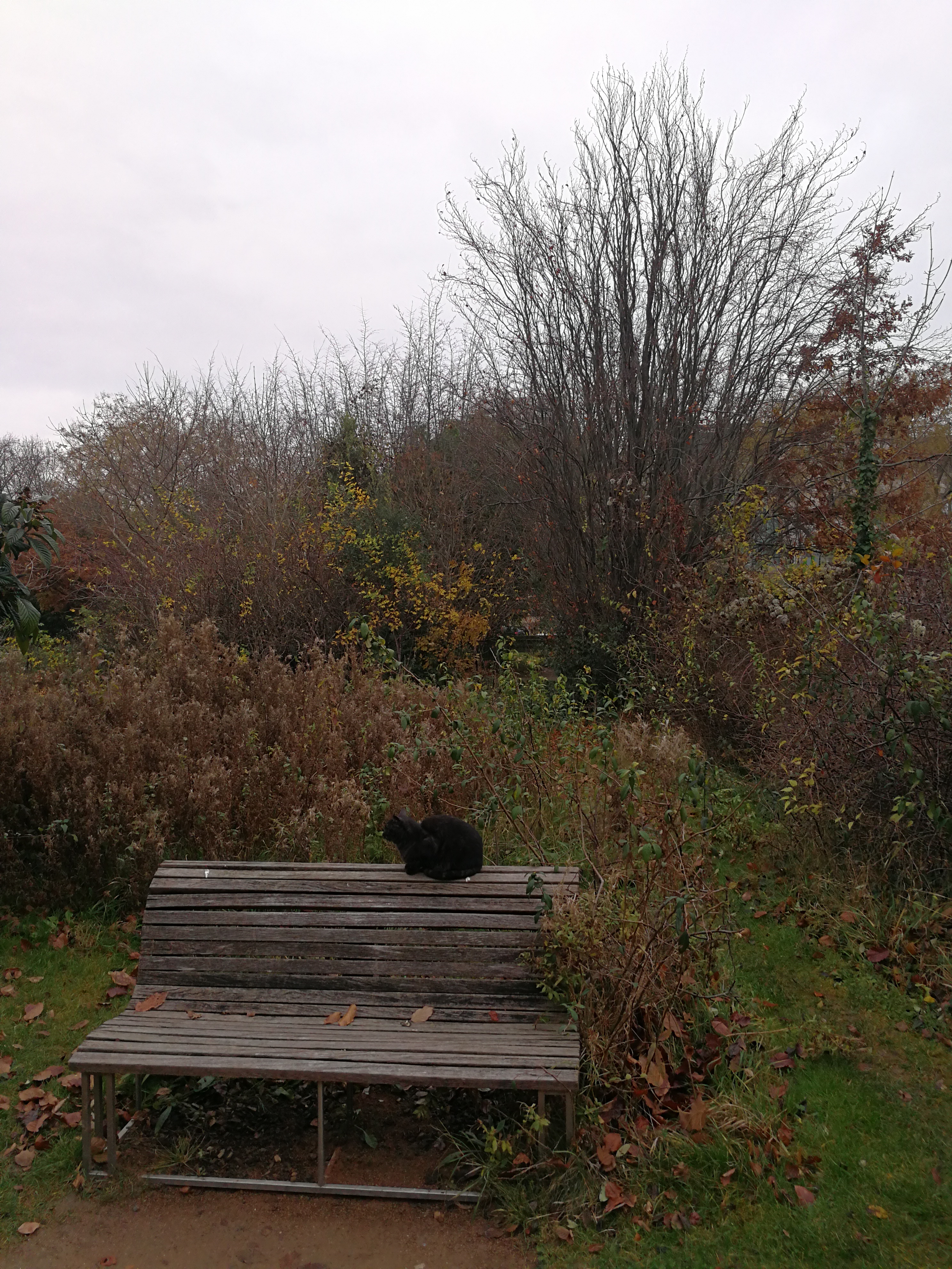 Photo n° 32 de l'avis de Fouad.s fait le 06/12/2017 à 13:21