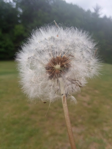 Golf Course «Kingston Fairways Golf Club», reviews and photos, 65 Depot Rd, Kingston, NH 03848, USA