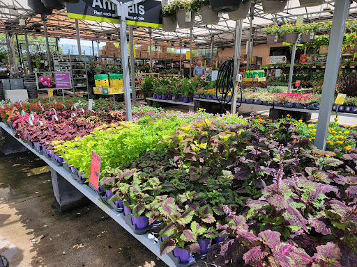 Home Improvement Store «The Home Depot», reviews and photos, 1590 W 49th St, Hialeah, FL 33012, USA