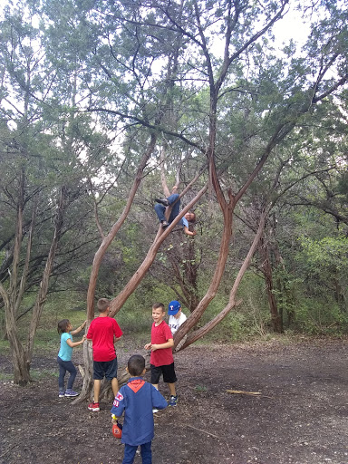 Gift Shop «Dinosaur Valley State Park Store», reviews and photos, 1629 Park Rd 59, Glen Rose, TX 76043, USA