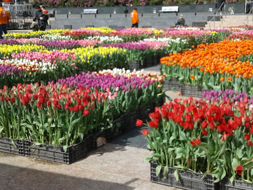 Shopping Mall «Union Square, San Francisco», reviews and photos, 333 Post St, San Francisco, CA 94108, USA