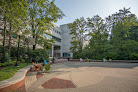 Northeastern University College Of Engineering
