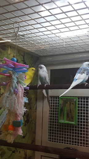 Pet Supply Store «PetSmart», reviews and photos, 1559 Merritt Blvd, Dundalk, MD 21222, USA