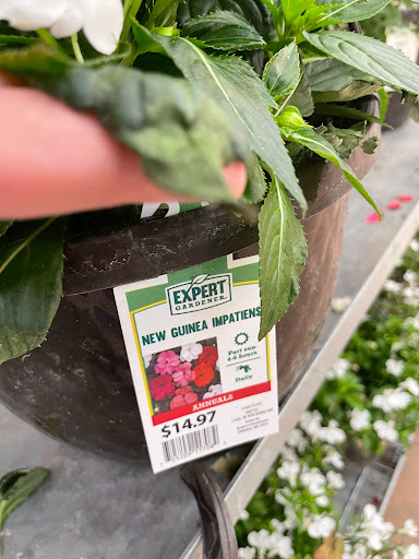 Department Store «Walmart Supercenter», reviews and photos, 100 SE 29th St, Grand Rapids, MN 55744, USA