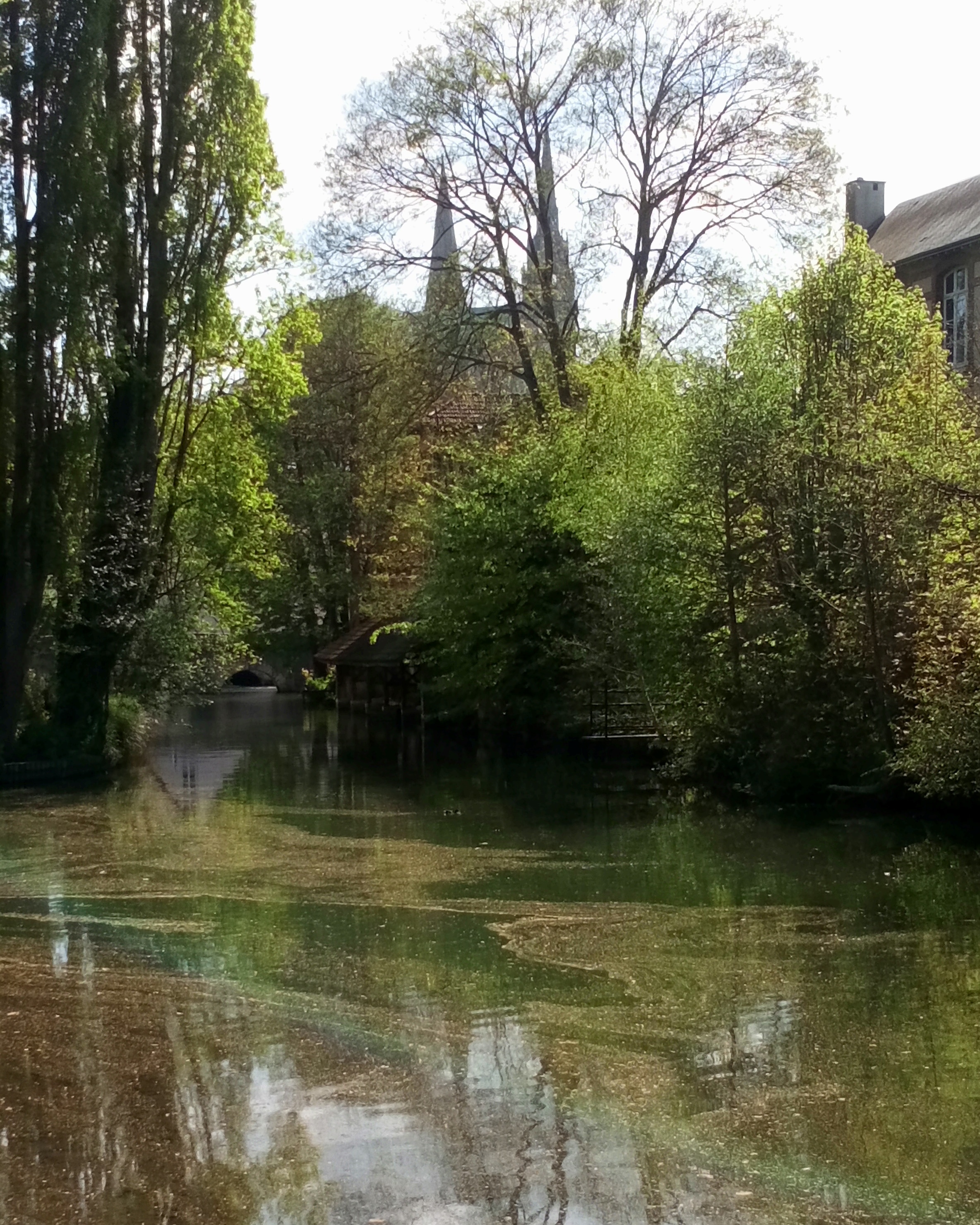 Photo n° 3 de l'avis de nounours.e fait le 20/04/2019 à 17:16