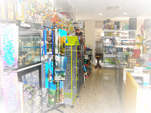 Aquari Món Tropical en El Campello, Alicante