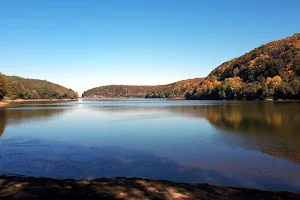 Jezero Borovik image