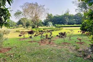 Botanical Garden, GMU image
