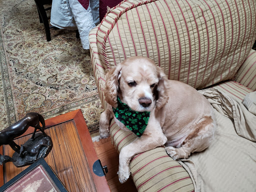 1096 W Bainbridge St, Elizabethtown, PA 17022, USA