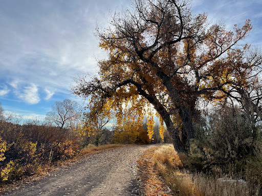 Golf Club «Highlands Ranch Golf Club», reviews and photos, 9000 Creekside Way, Highlands Ranch, CO 80129, USA