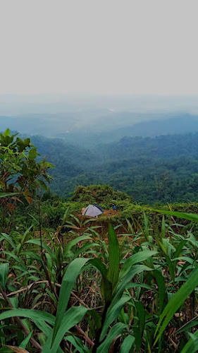 Finca Santa Martha