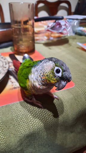 Pet Supply Store «Petco Animal Supplies», reviews and photos, 1201 E Washington Ave, Union Gap, WA 98903, USA