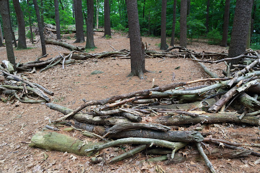 Park «Town of Arlington Menotomy Rocks Park», reviews and photos, 129 Jason St, Arlington, MA 02476, USA