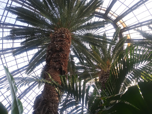 Zoo «Belle Isle Nature Center», reviews and photos, 176 Lakeside Dr, Detroit, MI 48207, USA