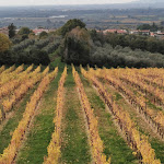 Photo n°6 de l'avis de Elisabetta.i fait le 30/11/2020 à 20:36 sur le  Cincinnato Wine Resort à Cori