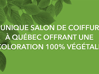 Ocalm - Coiffure au végétal