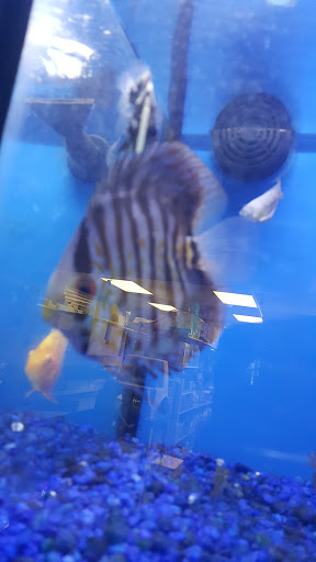 Pet Store «Pet Junction», reviews and photos, 146 NH-108, Dover, NH 03820, USA