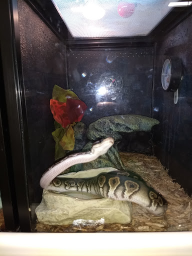 Pet Supply Store «PetSmart», reviews and photos, 2540 Cumberland Blvd SE, Smyrna, GA 30080, USA