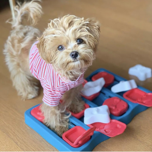 Pet Supply Store «Petropolis Camarillo», reviews and photos, 5800 Santa Rosa Rd Suite 144, Camarillo, CA 93010, USA