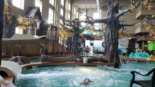 Water Park «Crawdaddy Cove Indoor Water Park», reviews and photos, 1109 Fourier Dr, Madison, WI 53717, USA