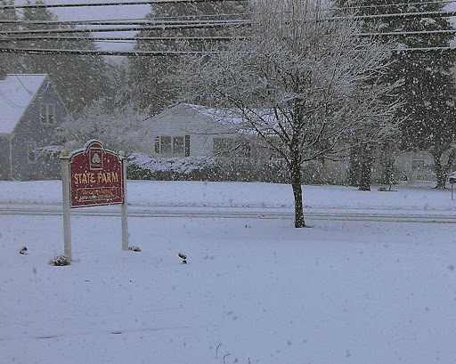 Insurance Agency «Caleb Carney - State Farm Insurance Agent», reviews and photos