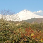 Photo n°1 de l'avis de Bruce.h fait le 20/11/2019 à 19:31 sur le  Monaci delle Terre Nere à Zafferana Etnea