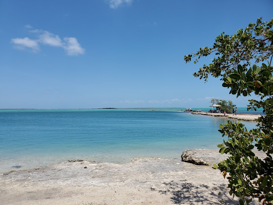 Horseshoe beach