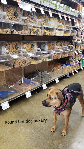Pet Supply Store «Pet Supplies Plus», reviews and photos, 375 Paterson Ave #105, Wallington, NJ 07057, USA