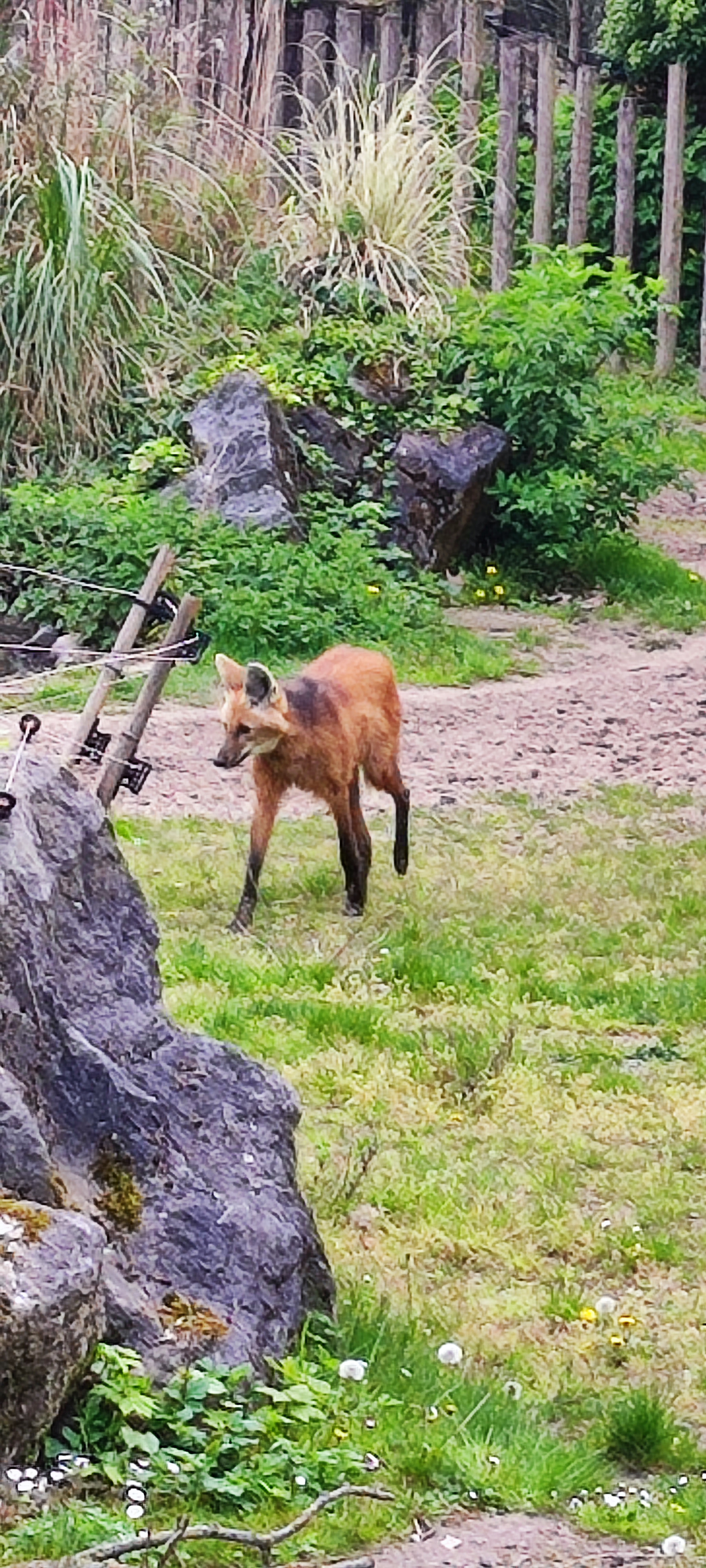Photo n° 3 de l'avis de Nadia. fait le 29/04/2023 à 16:51